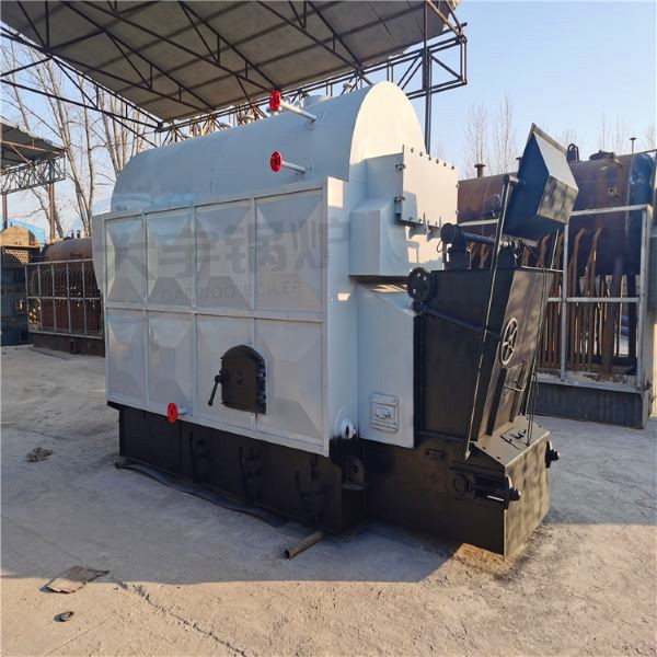 DZL链条炉排生物质蒸汽锅炉